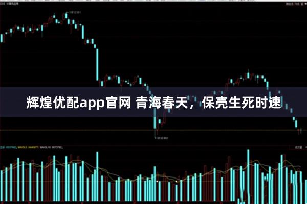 辉煌优配app官网 青海春天，保壳生死时速