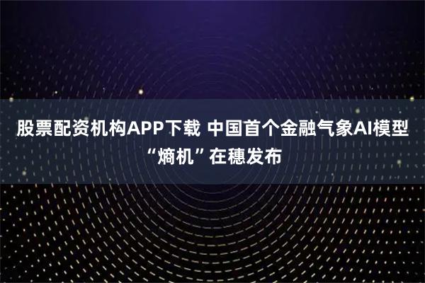 股票配资机构APP下载 中国首个金融气象AI模型“熵机”在穗发布