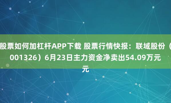 股票如何加杠杆APP下载 股票行情快报：联域股份（001326）6月23日主力资金净卖出54.09万元